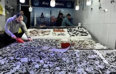 Hamsi avcılığı hem balıkçıyı hem tüketiciyi memnun etmeyi sürdürüyor