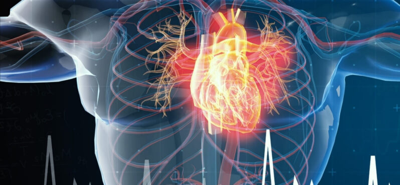 Tıp Literatürüne Giren Türk Vaka: Ginseng Genç Kalbi Nasıl Durdurma Noktasına Getirdi?