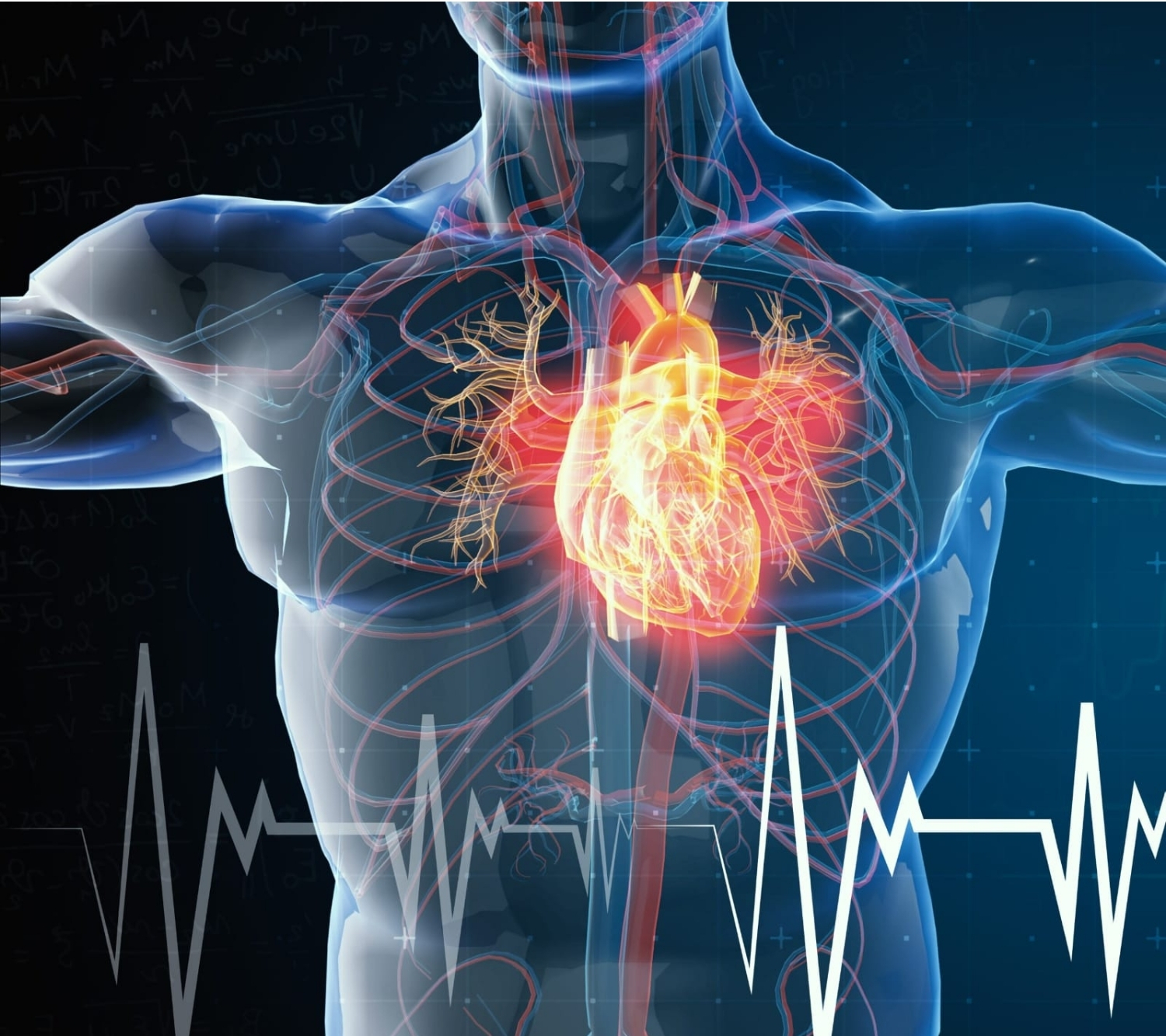 Tıp Literatürüne Giren Türk Vaka: Ginseng Genç Kalbi Nasıl Durdurma Noktasına Getirdi?