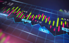 Sermaye Piyasalarında Halka Arz Süreçleri ve Yatırımcı Katılım Esasları: Detaylı İnceleme