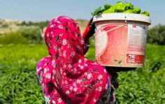 GAP Bedesten ile Kadın Emeği Yerelden Küresele Taşınıyor