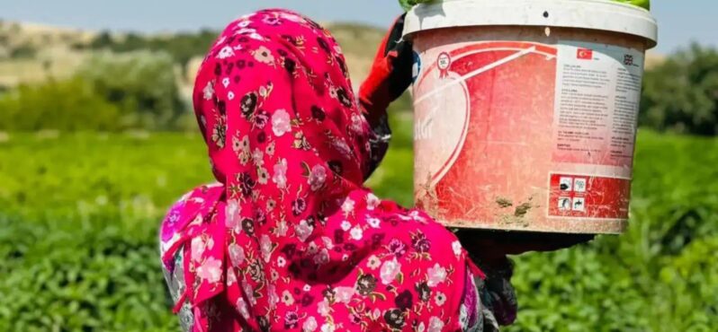 GAP Bedesten ile Kadın Emeği Yerelden Küresele Taşınıyor