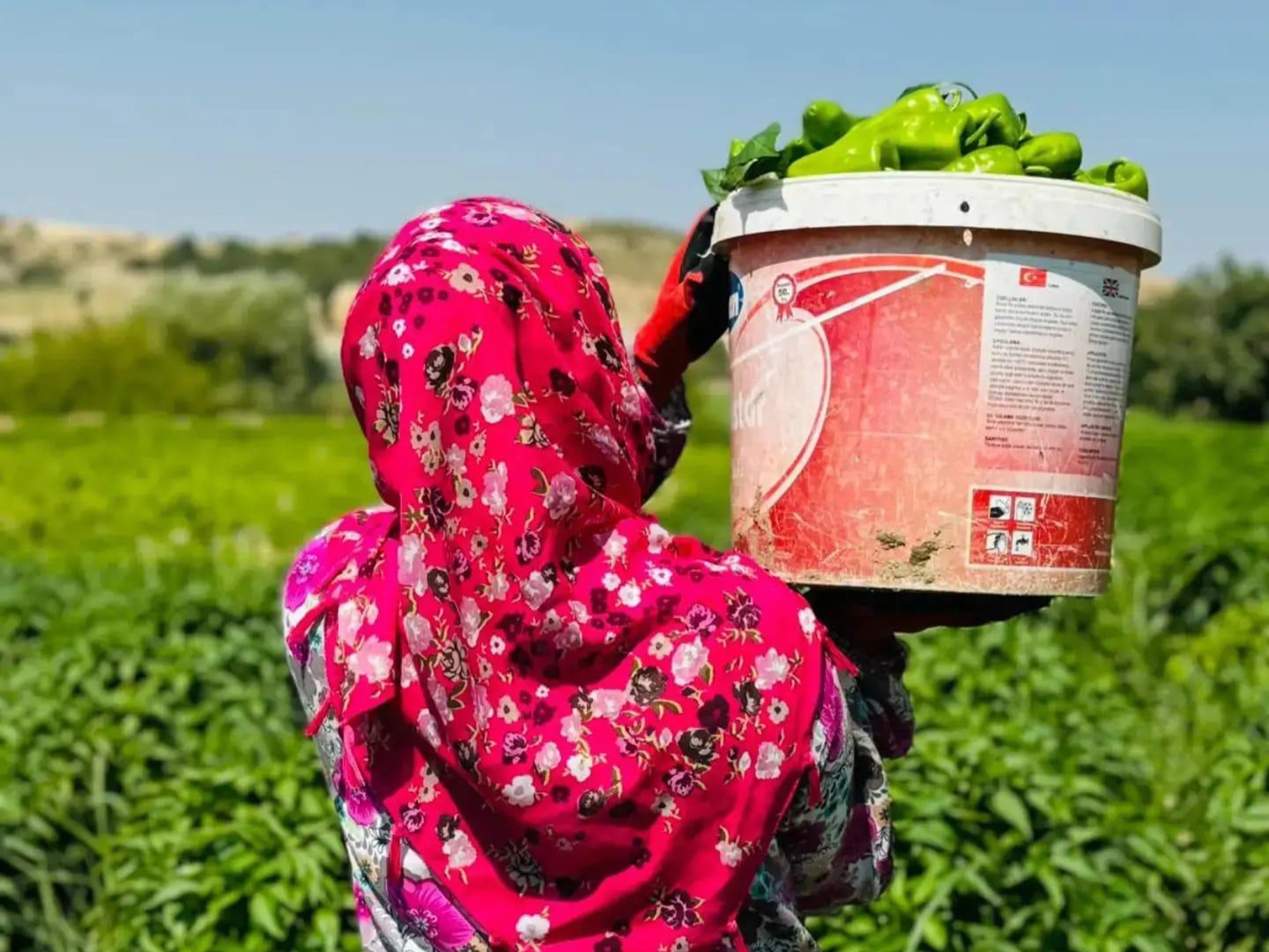GAP Bedesten ile Kadın Emeği Yerelden Küresele Taşınıyor