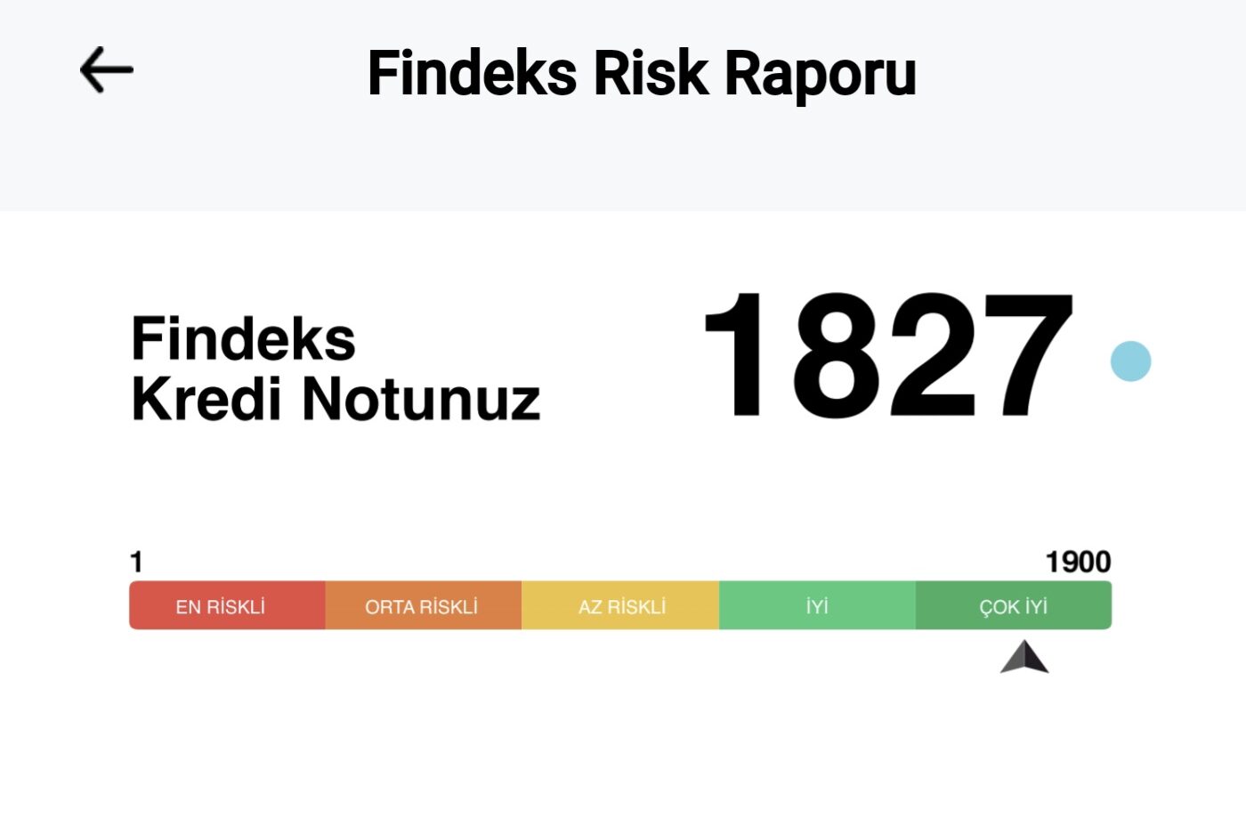 Findeks Raporu Nedir ve Nasıl İncelenir?